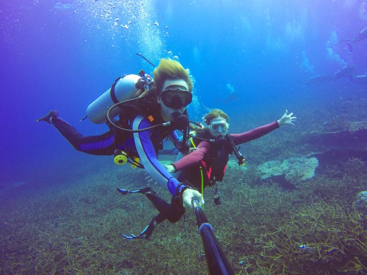From Novice to Expert: How to Master the Art of Scuba Diving